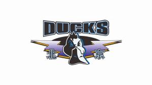 直播吧：北京首钢男篮新赛季的主场有望回归五棵松